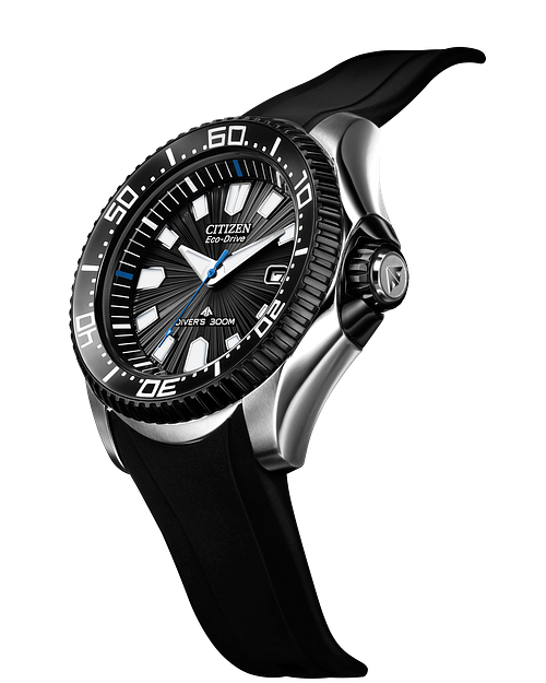 Citizen professional diver 300m 2025 titanium